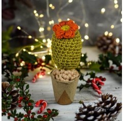 Crochet Cactus | Hermit Creations