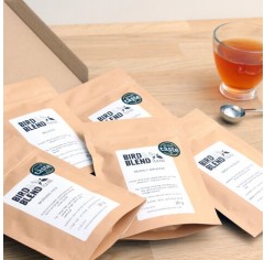 Green Tea Experience Pack
